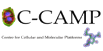 C-CAMP - Centre for Cellular and Molecular Platforms logo